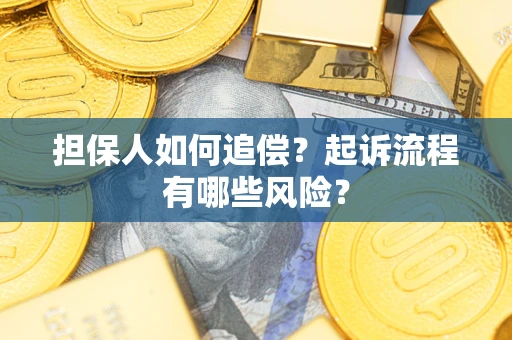 北京担保人如何追偿？起诉流程有哪些风险？