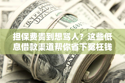 北京担保费贵到想骂人？这些低息借款渠道帮你省下冤枉钱