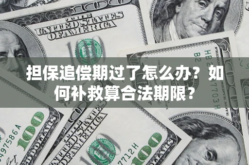北京担保追偿期过了怎么办？如何补救算合法期限？