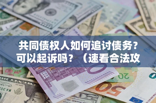 北京共同债权人如何追讨债务？可以起诉吗？（速看合法攻略）
